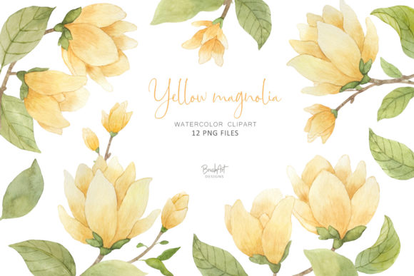 Bringing Warmth to Your Projects with Watercolor Yellow Magnolia