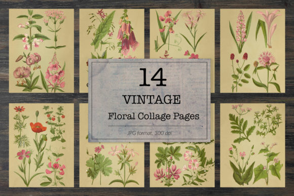 Capturing Time: The Artistic and Practical Use of Vintage Field Flowers