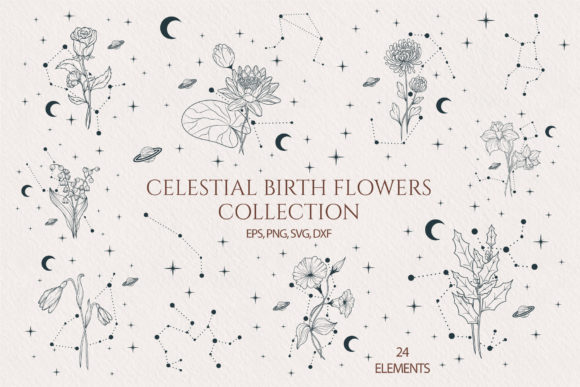 Hand Drawn Celestial Birth Month Flowers: Integrating Art into Creative Workflows