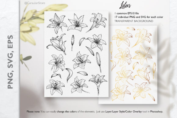 Lily Line Art SVG: A Versatile Toolkit for Modern Creativity
