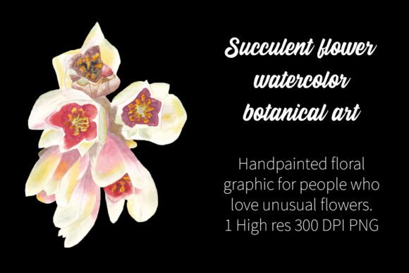 Succulent Flower Watercolor Botanical Art