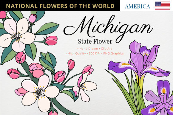 The Apple Blossom: Michigan's State Flower and a Muse for Modern Creation