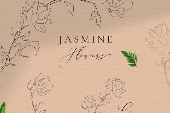 The Art of Delicate Design: Integrating Jasmine Line Art into Modern Projects