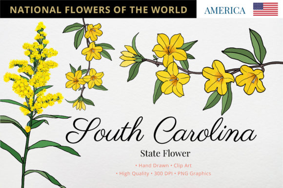 The Golden Symbolism of South Carolina: From Yellow Jessamine to Goldenrod