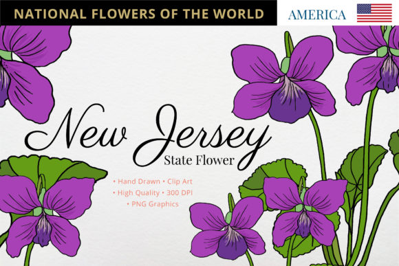 The New Jersey State Flower: A Violet's Journey from Meadow to Marketplace