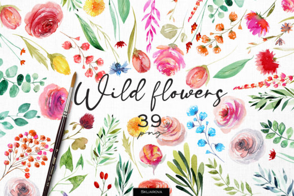 The Unassuming Power of a Wildflower Digital Asset Library