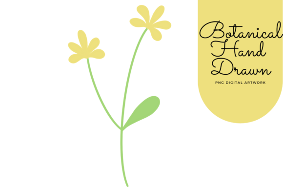 The Versatile Charm of Botanical Color Hand Drawn Clipart for Creative Projects