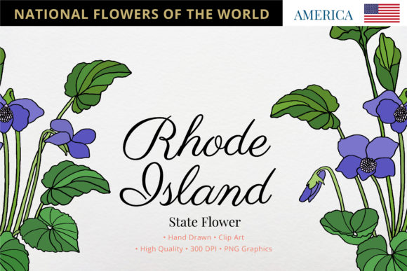 The Violet: Rhode Island's Official State Flower