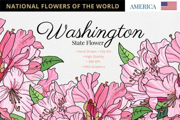 The Washington State Flower: A Symbol of Pacific Northwest Beauty and a Versatile Creative Asset